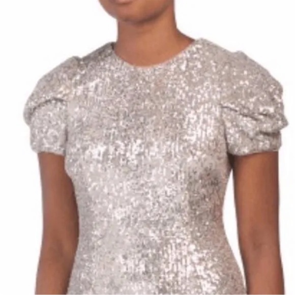 ADRIANNA PAPELL SEQUIN SILVER EVENING SHEATH DRESS SIZE 10P - Picture 7 of 10